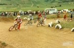 1981_Beaune_2nd_event__scannen0051