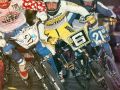 1981 JAG_BMX_Tim_Judge_scannen0065