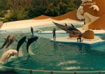 1987_sea_world_and_more_scannen0002