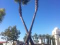 2013 In_and_Out_Burger_Chula_Vista_GD_Klunder_Pawlak_Mrs_Hill_Lee_Baker_Greg_and_Alex_Esser_Greg_Hill___1558970593_n