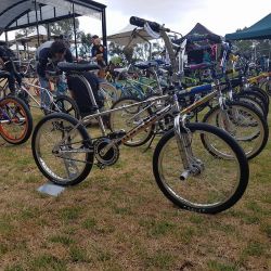 10. more bmx show and shine stuff 589677