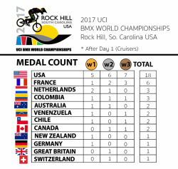 2017 medal count 0100624 n