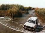 photo_JPG_Farao_Rally_PK